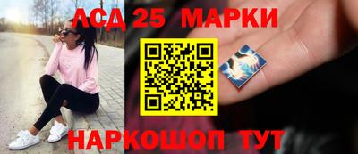 стафф Шелехов