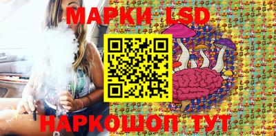 стафф Шелехов