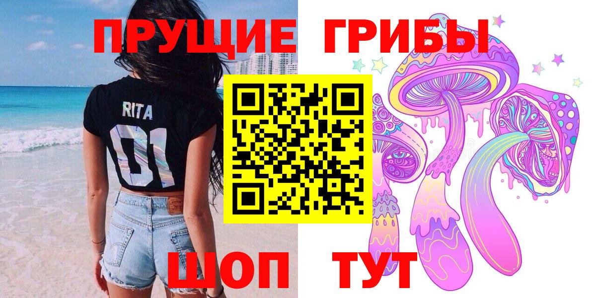 Псилоцибиновые грибы GOLDEN TEACHER  где найти   Ачхой-Мартан  Вход с VPN 