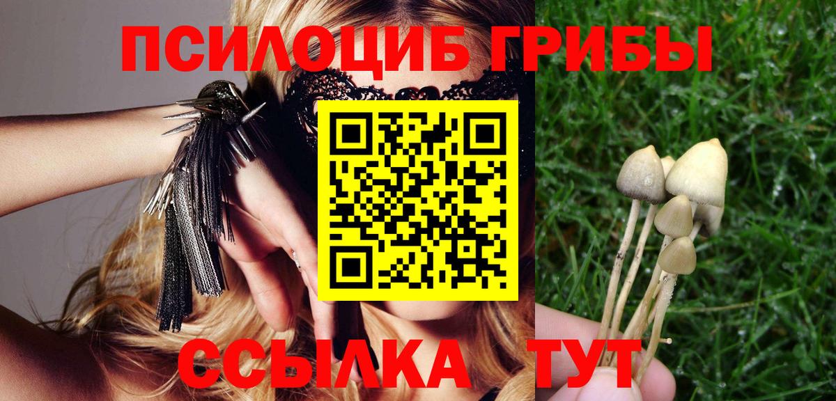 Галлюциногенные грибы MAGIC MUSHROOMS Ачхой-Мартан
